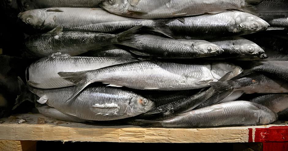 Bescherming tot in de details tegen vocht en zout