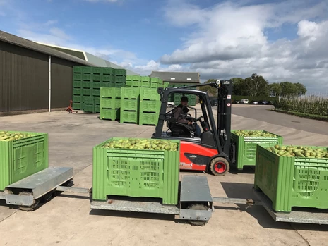 Linde heftruck met kratten peren